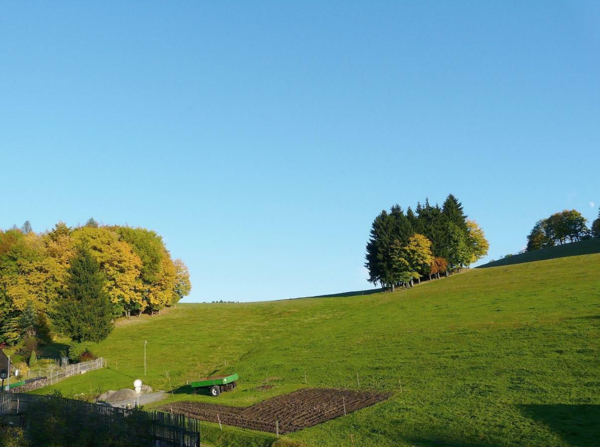 Ferienhaus Uda Schwarzenberg/Erzgebirge Exterior foto